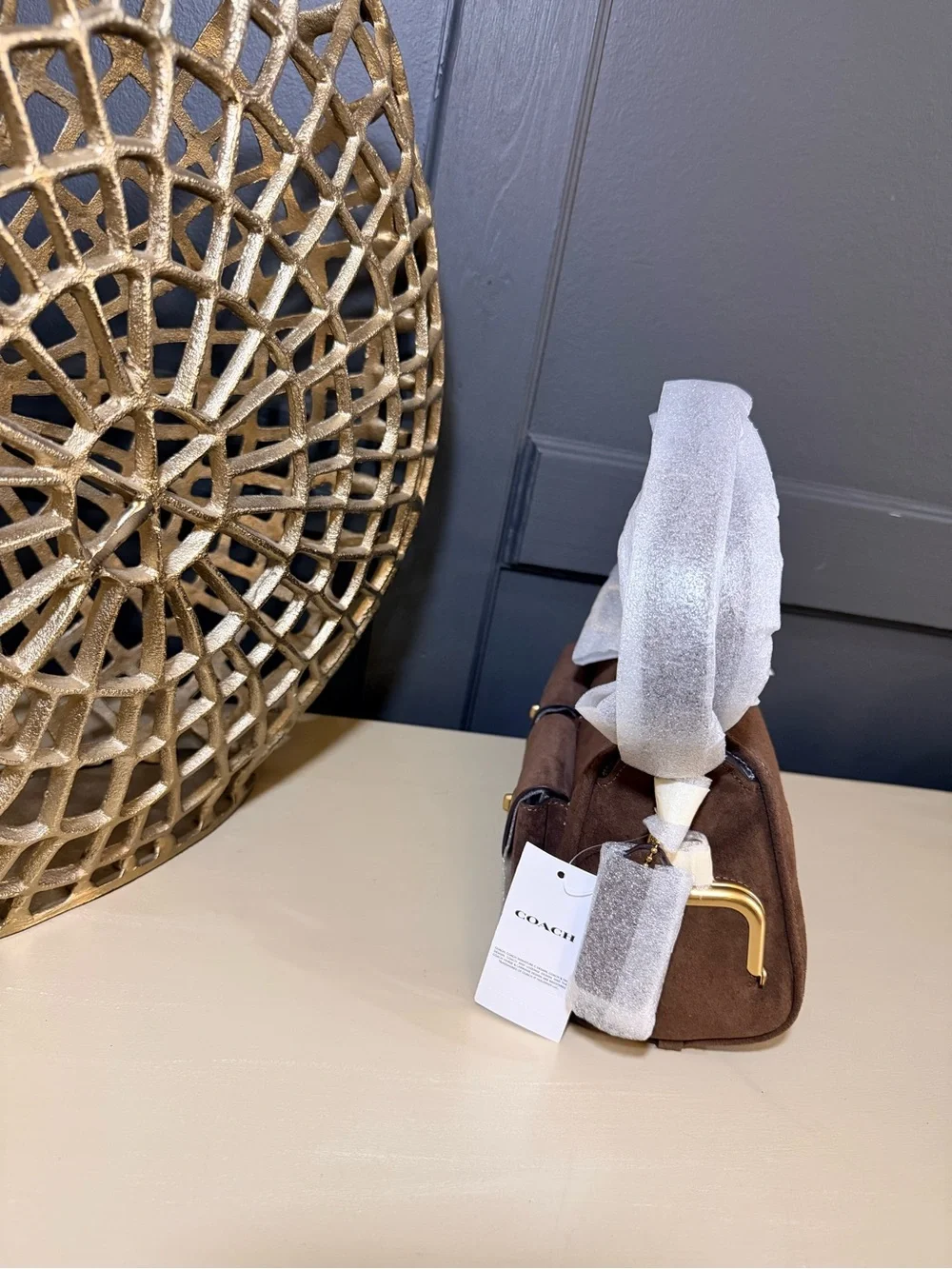 NWT Coach Mini Haversack in Brown Suede